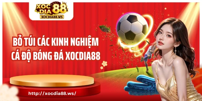 Bỏ túi các kinh nghiệm cá độ bóng đá Xocdia88
