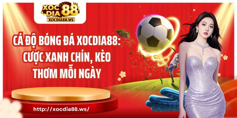Cá độ bóng đá Xocdia88