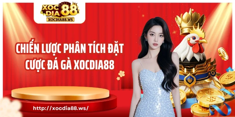 Chiến lược phân tích đặt cược đá gà Xocdia88