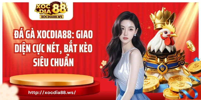 Đá gà Xocdia88