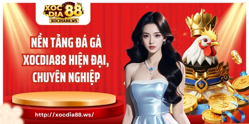 Nền tảng đá gà Xocdia88 hiện đại, chuyên nghiệp