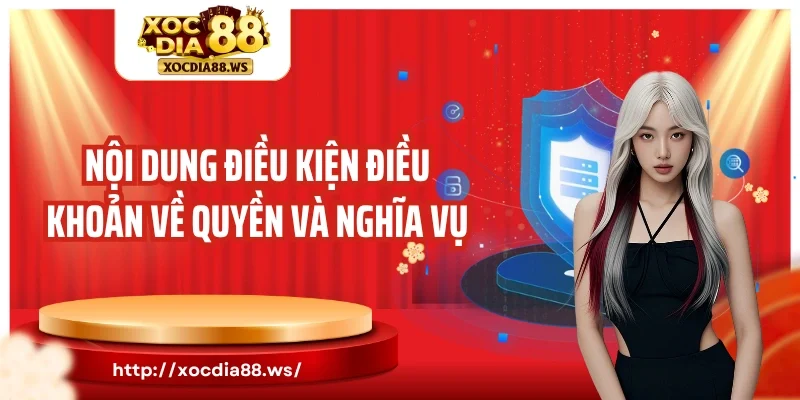 Nội dung điều kiện điều khoản về quyền và nghĩa vụ