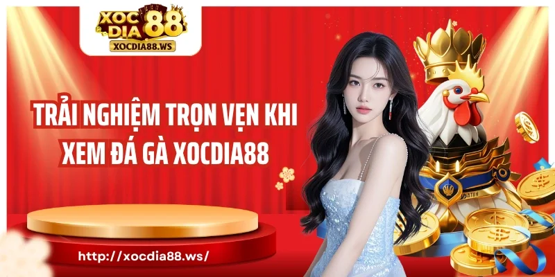 Trải nghiệm trọn vẹn khi xem đá gà Xocdia88